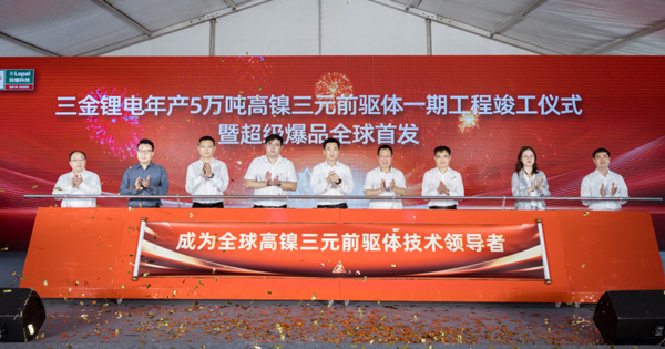 华友钴业/龙蟠科技/厦钨新能正极材料再扩产能!又一上市公司宣布出海建厂 华友钴业/龙蟠科技/厦钨新能正极材料再扩产能!又一上市公司宣布出海建厂