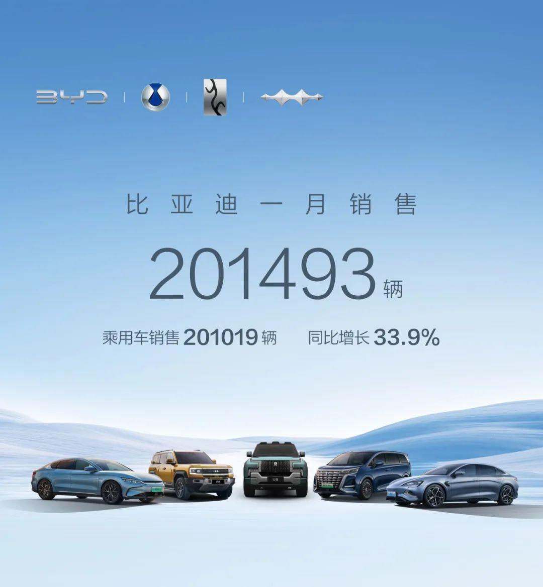 比亚迪 比亚迪