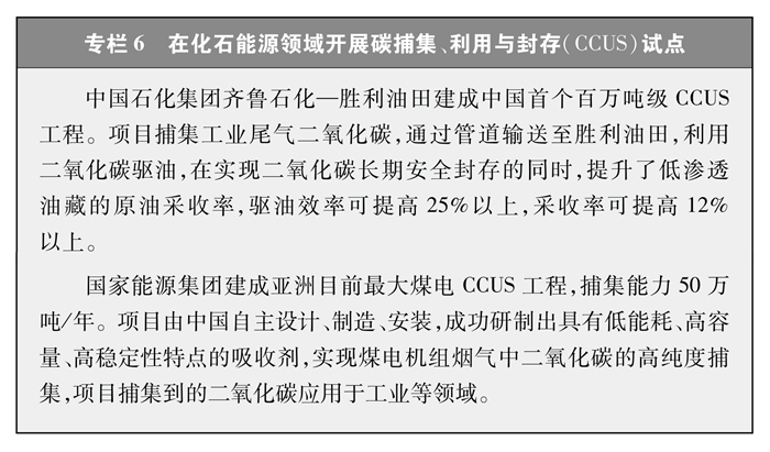《中国的能源转型》白皮书 《中国的能源转型》白皮书