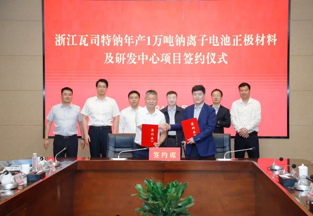 钠电池,钠电正极,瓦司特钠 钠电池,钠电正极,瓦司特钠