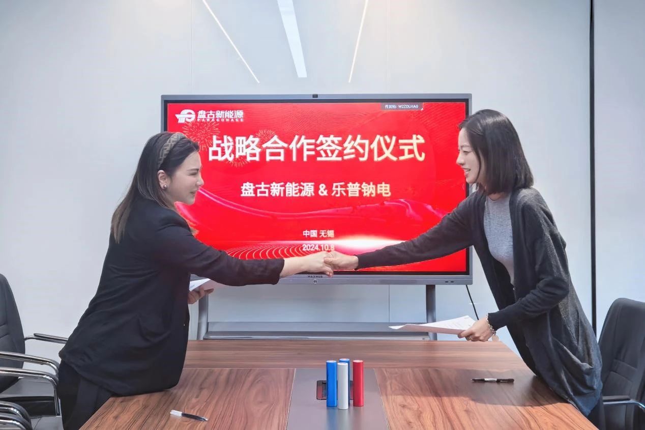 乐普钠电 乐普钠电