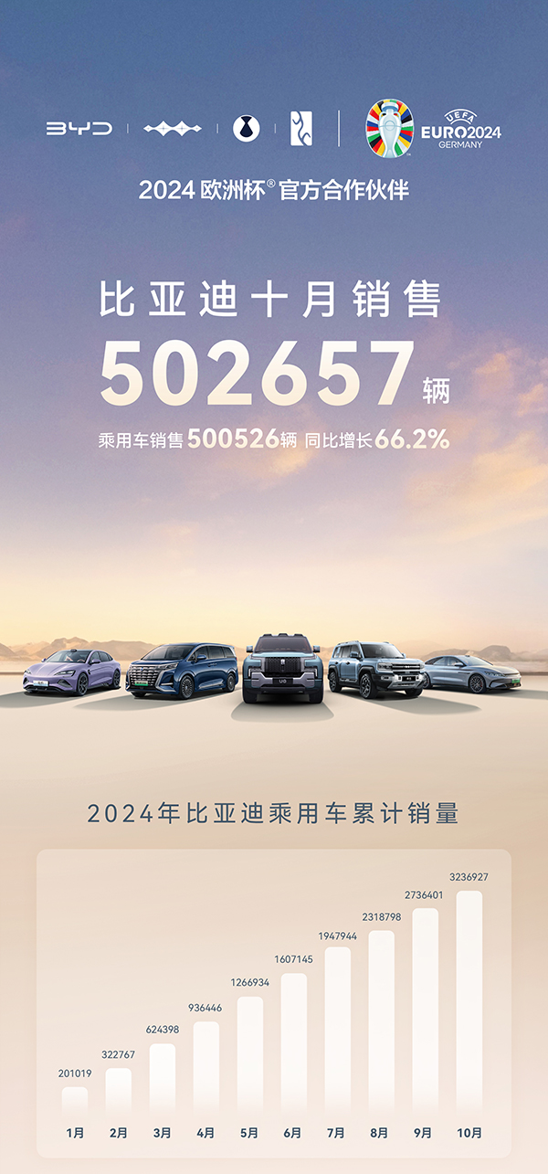 比亚迪 比亚迪