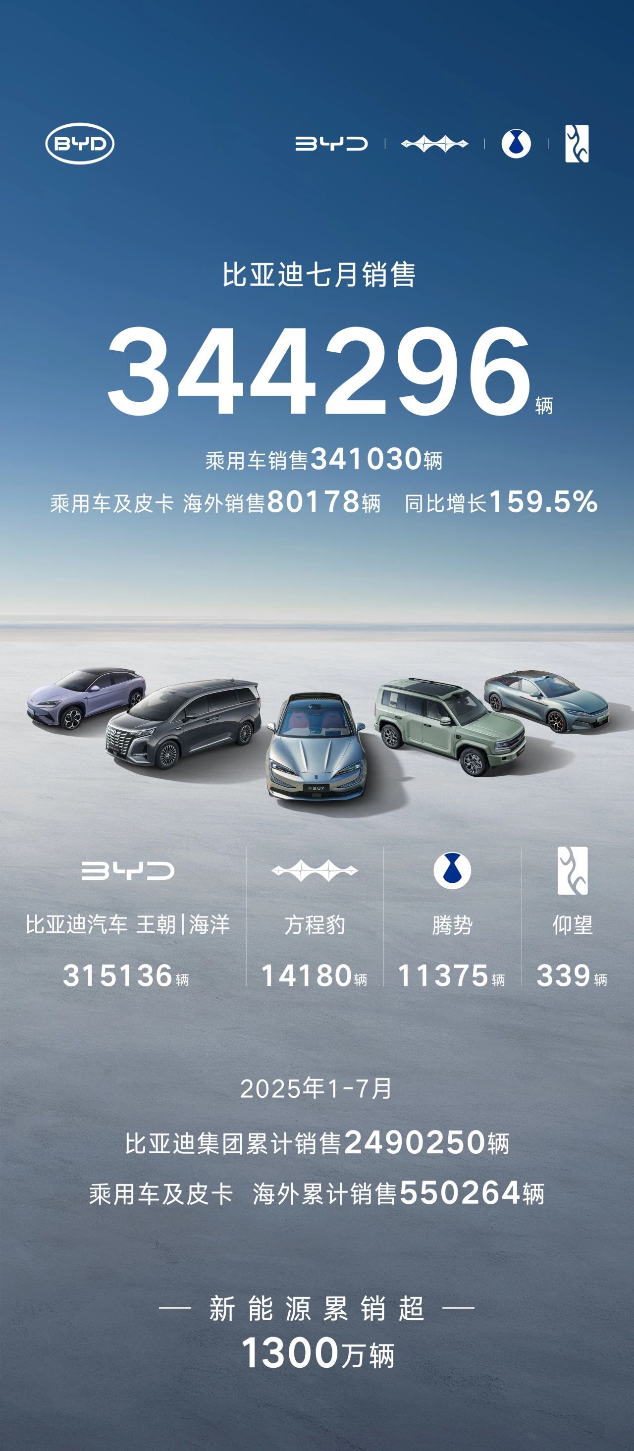 比亚迪 比亚迪