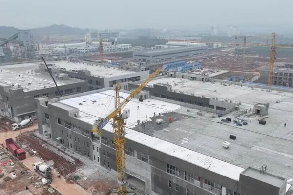 图片来源:安居区融媒体 图片来源:安居区融媒体