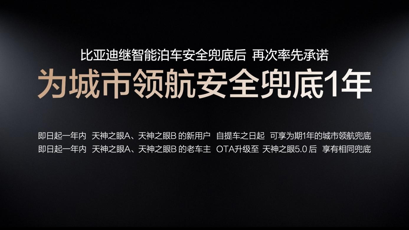 比亚迪,芯片,智能驾驶