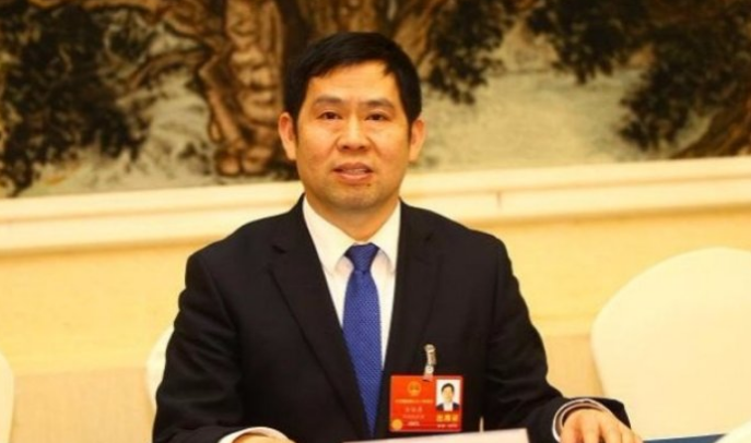 人大代表合众新能源方运舟：加强新能源汽车下乡政策落地