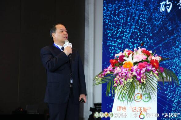 马忠龙:无钴方向可行 蜂巢能源首个电池工厂预计2020年量产