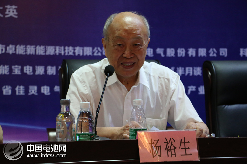 杨裕生:化学储能竞争力可期 有助于解决“弃风”“弃光”难题