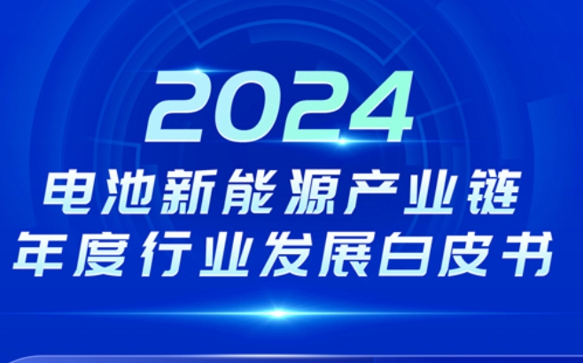 预售8折！2024年中国/国际电池新能源行业发展白皮书及研究年度报告名单出炉