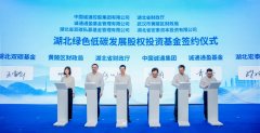 主要投向新能源等领域！我国又一百亿级基金落地