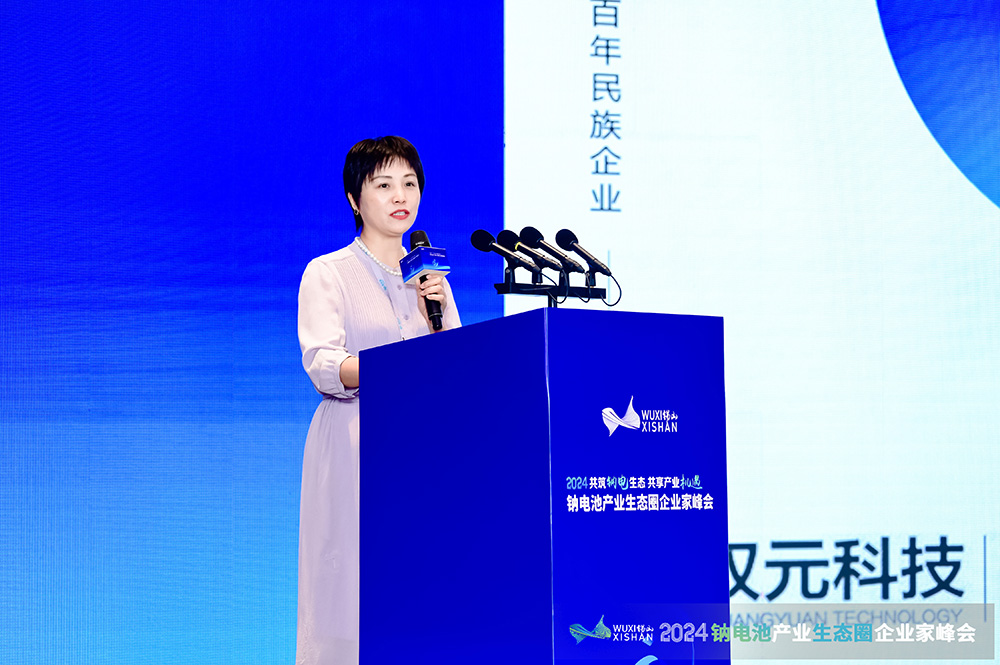 双元科技边慧娟：新技术新产品助力钠电精益制造