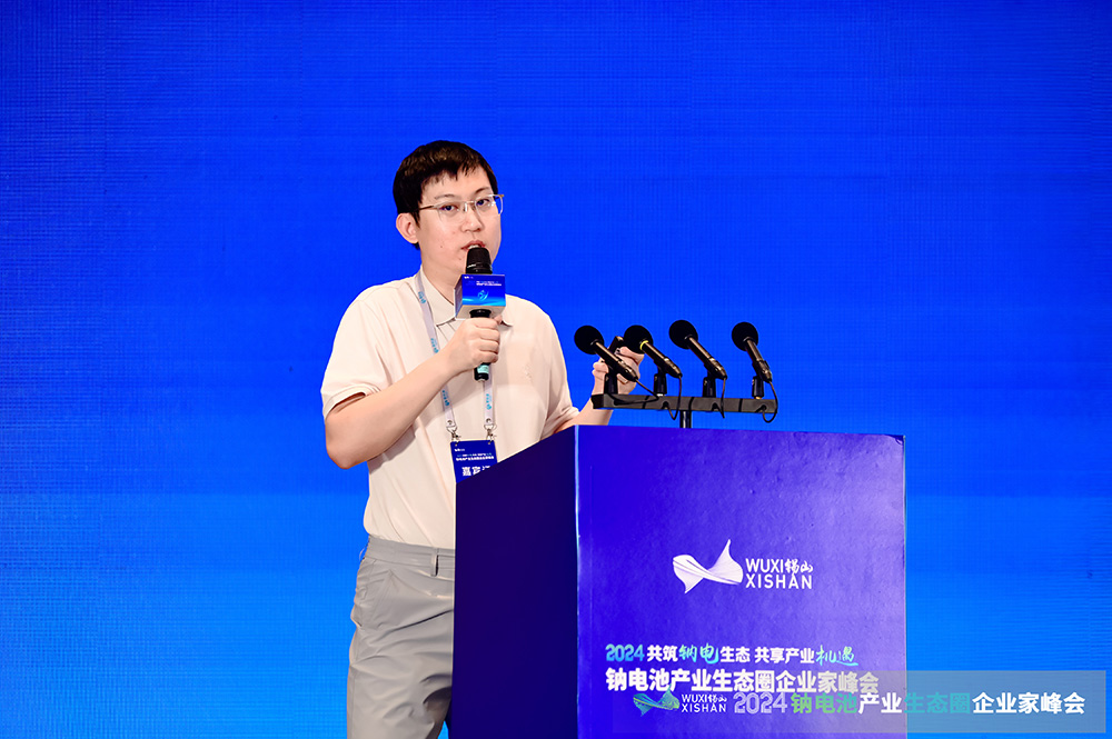 中科院谢飞：无定形碳负极可逆容量及首周可逆性提升策略分析