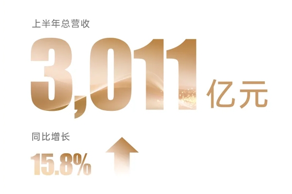 比亚迪发布半年报：营收超3011亿 研发投入近202亿