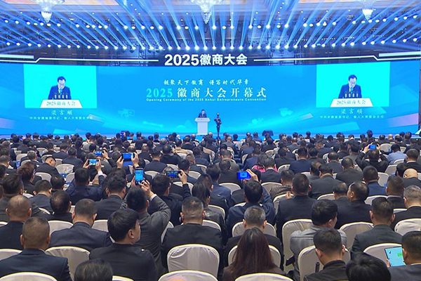 34亿!年产3万吨!这一新型硅碳负极材料项目落户安徽
