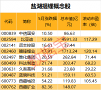 盐湖卤水提锂技术获重大突破 生产周期由2年缩短至20天